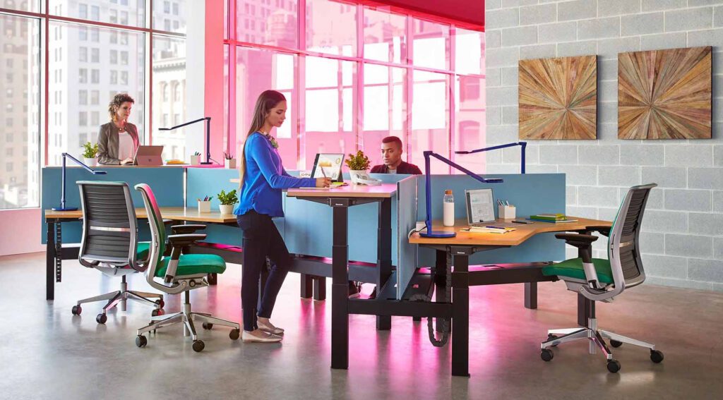 employees working at sit-stand desks