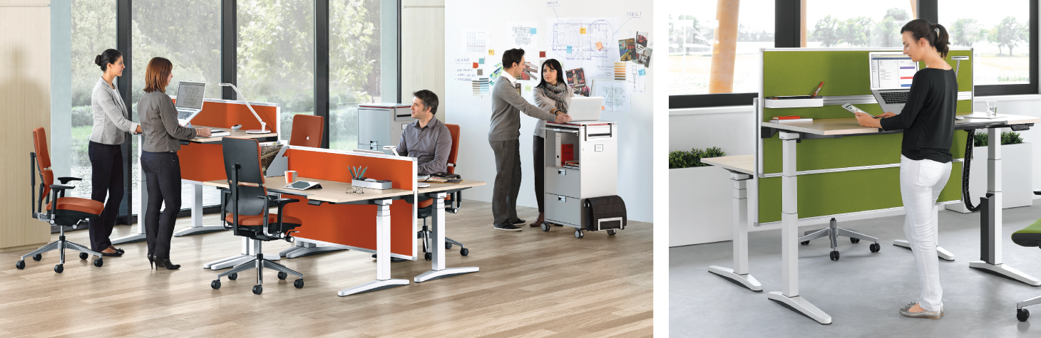 sit-stand desks