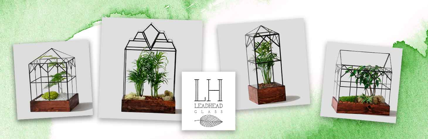 terrariums by Leadhead Glass